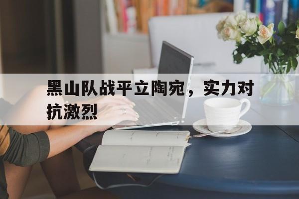 黑山队战平立陶宛，实力对抗激烈